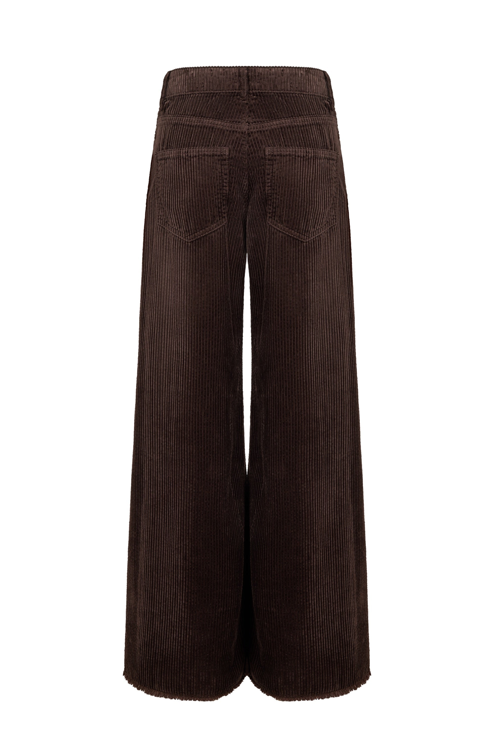Pantalon Soul en velours - Marron