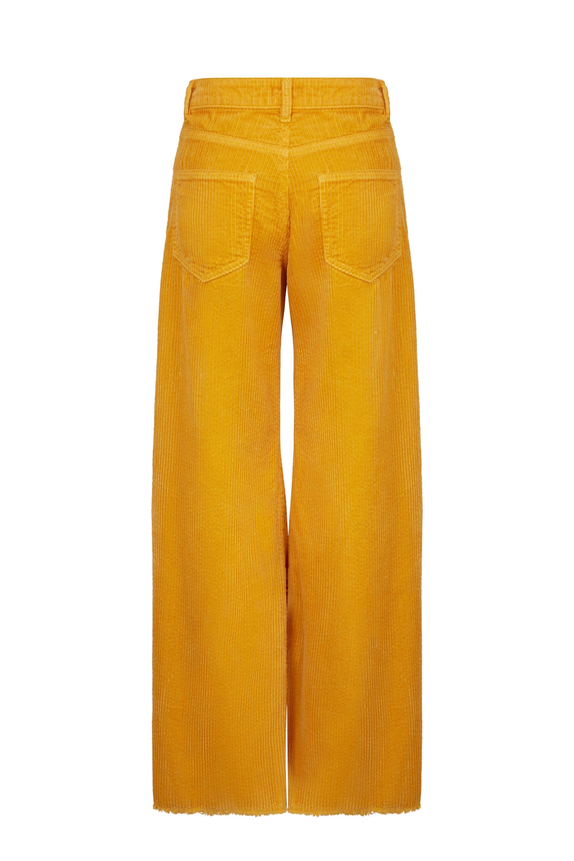 Pantalon Soul en velours - Jaune