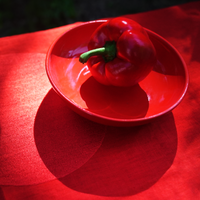 BOL Assiettes - BOL