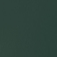 Peinture Pierre teinte n°009 Les Réalistes - Vert