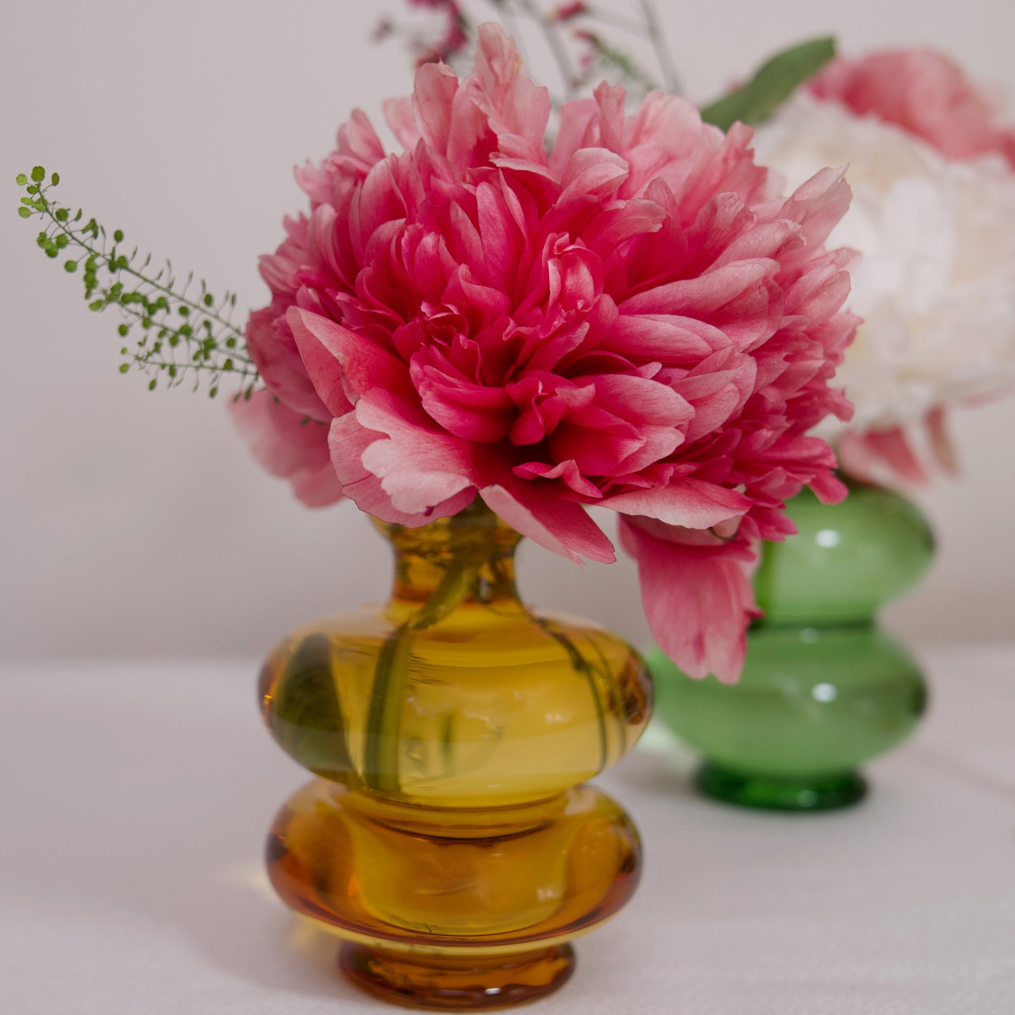 Ambre Vases - Ambre