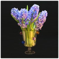 TR Vases - TR