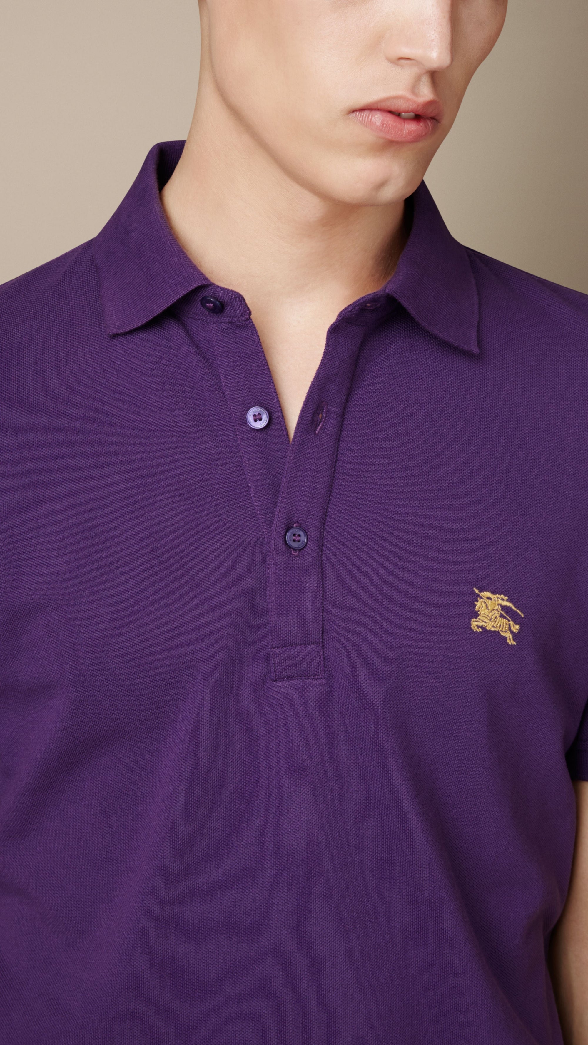 WINDSOR PURPLE Polo en jersey de coton