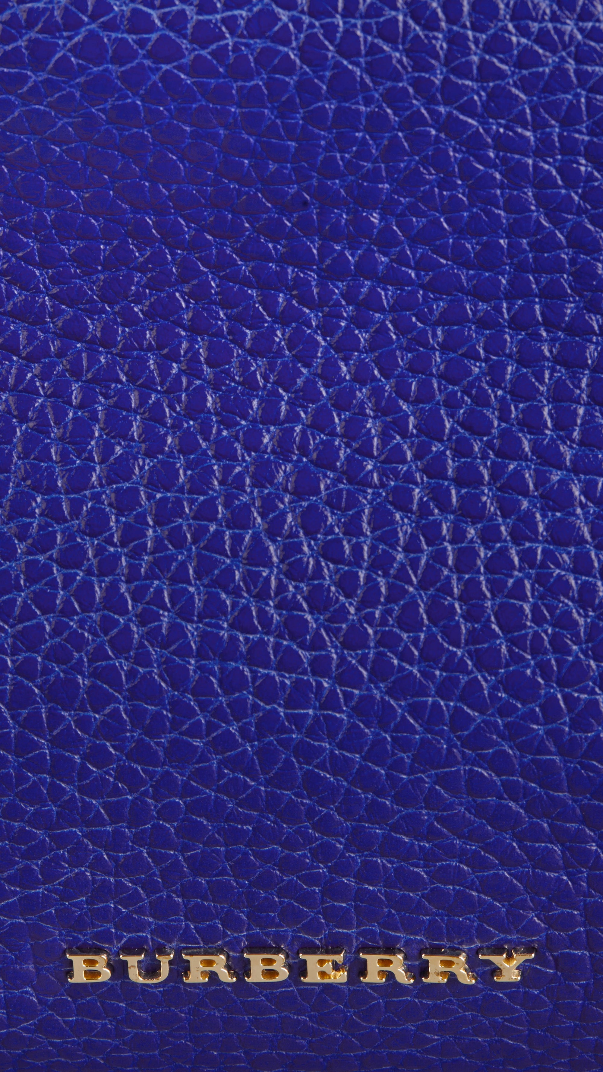BRILLIANT BLUE Petit clutch en cuir grainé