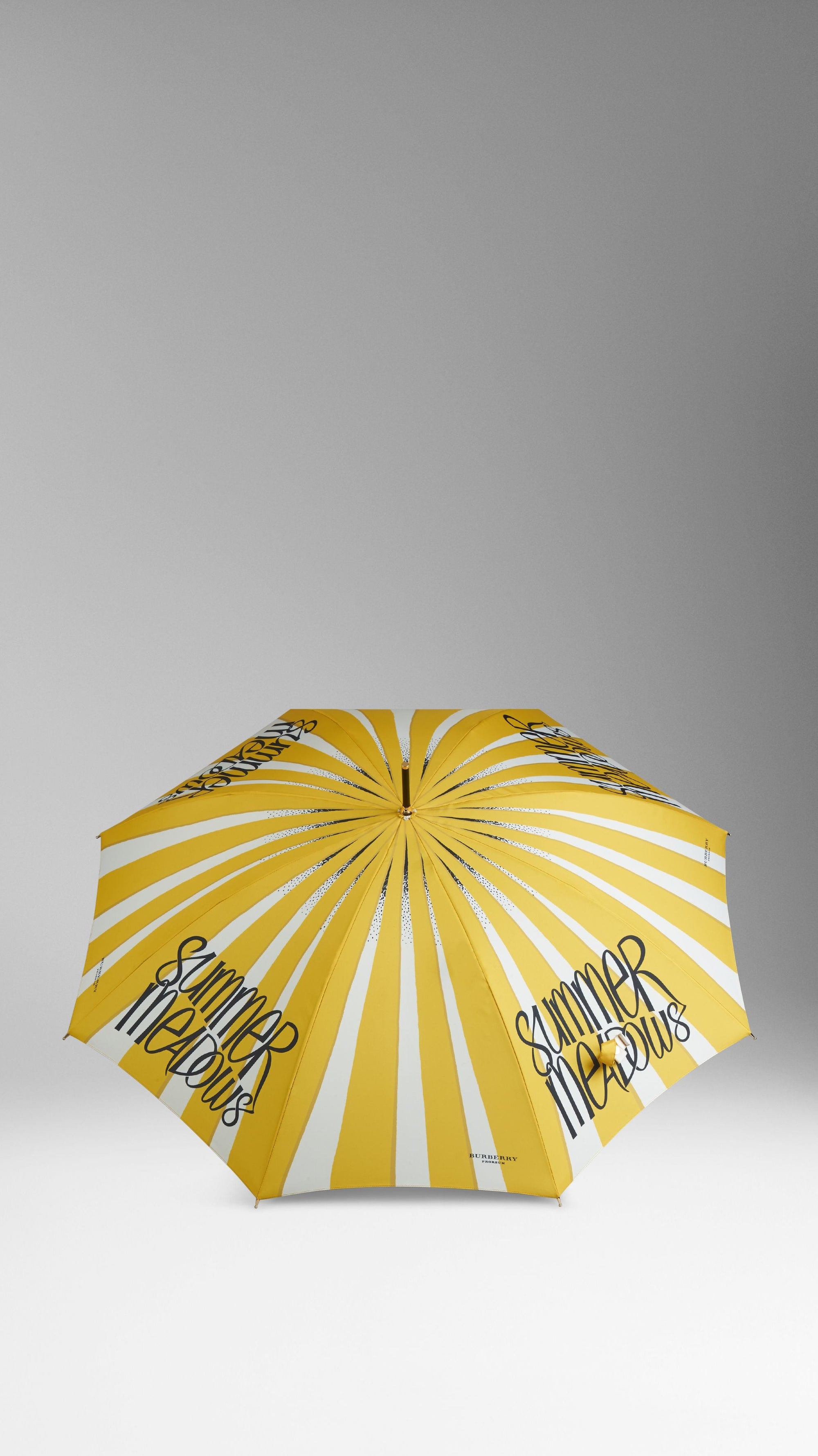 DAFFODIL YELLOW Parapluie canne à imprimé couverture de livre