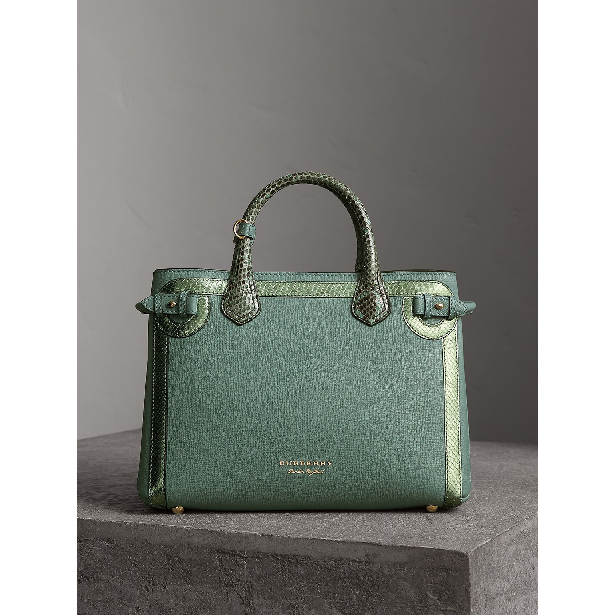 CELADON BLUE Sac The Banner medium en cuir avec appliqué en python métallisé