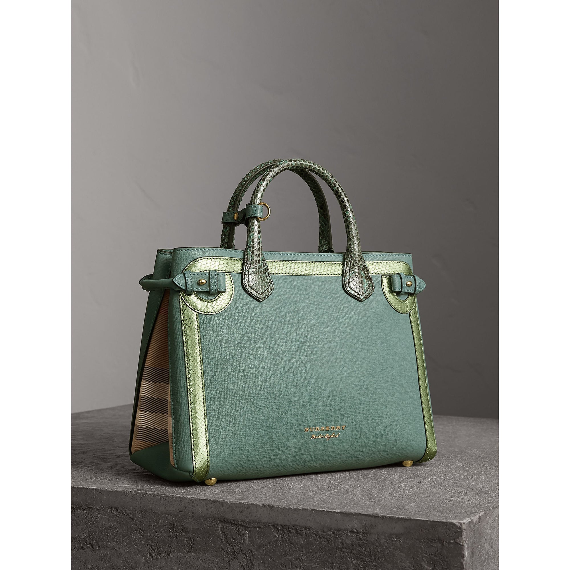 CELADON BLUE Sac The Banner medium en cuir avec appliqué en python métallisé