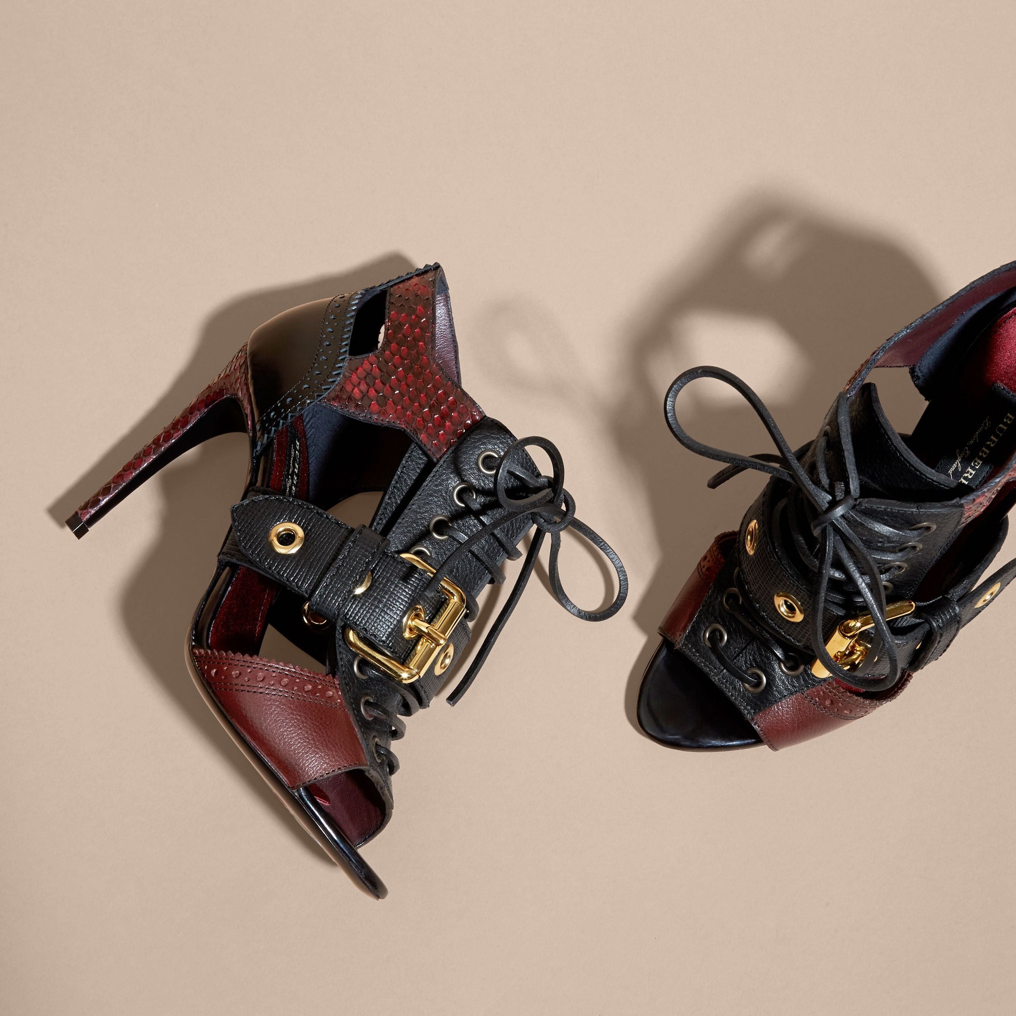 BORDEAUX Bottines en cuir et peau de serpent avec boucle et découpes