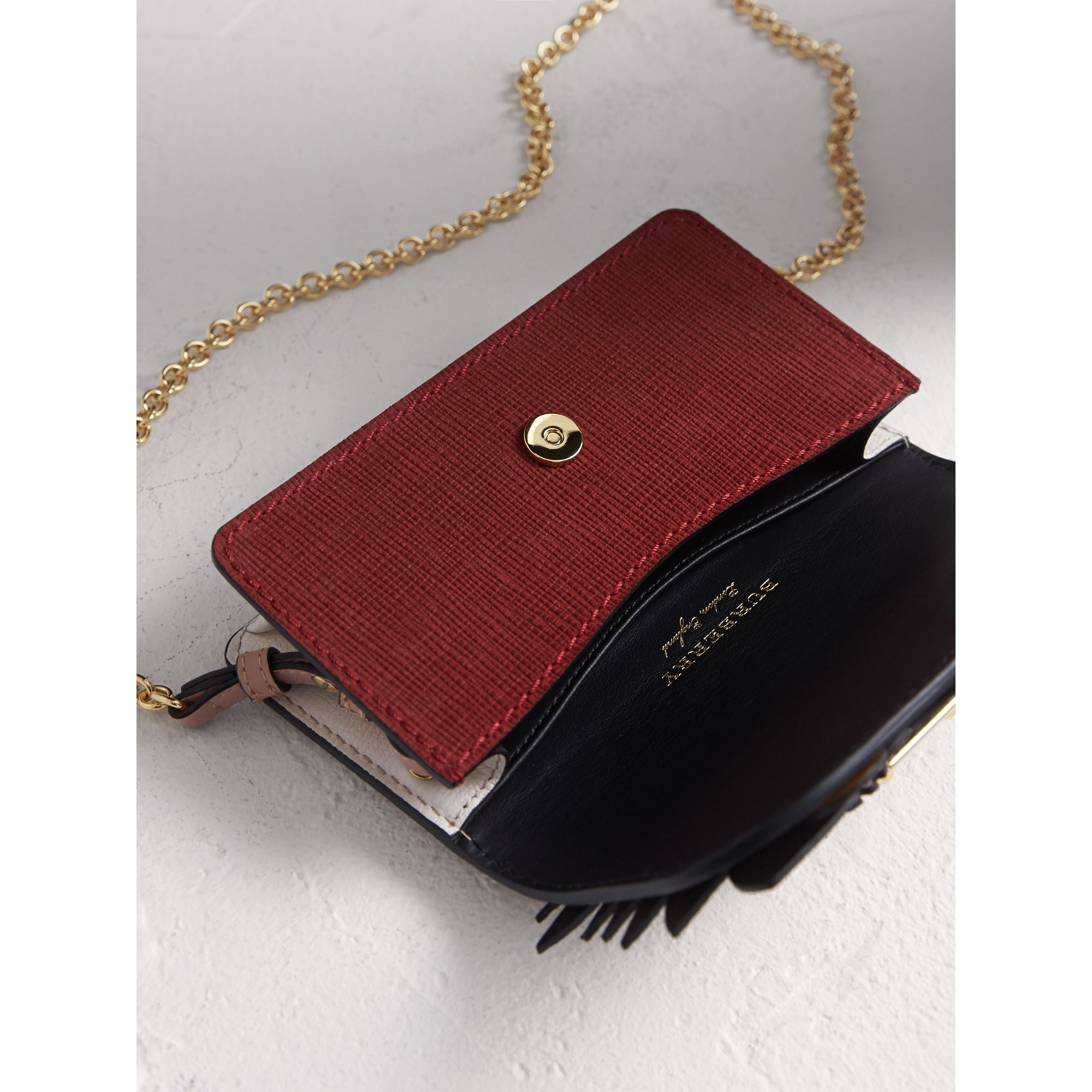 ASH ROSE Mini sac The Buckle en cuir et peau de serpent à motif Bestiaire