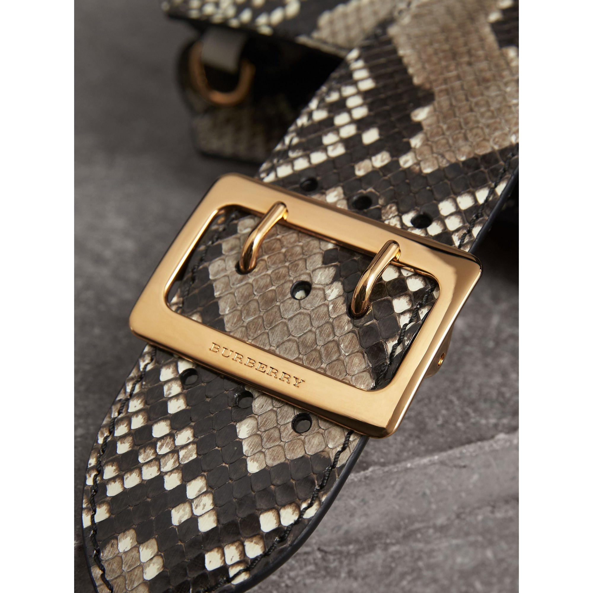NATURAL Petit sac tote The Buckle en python