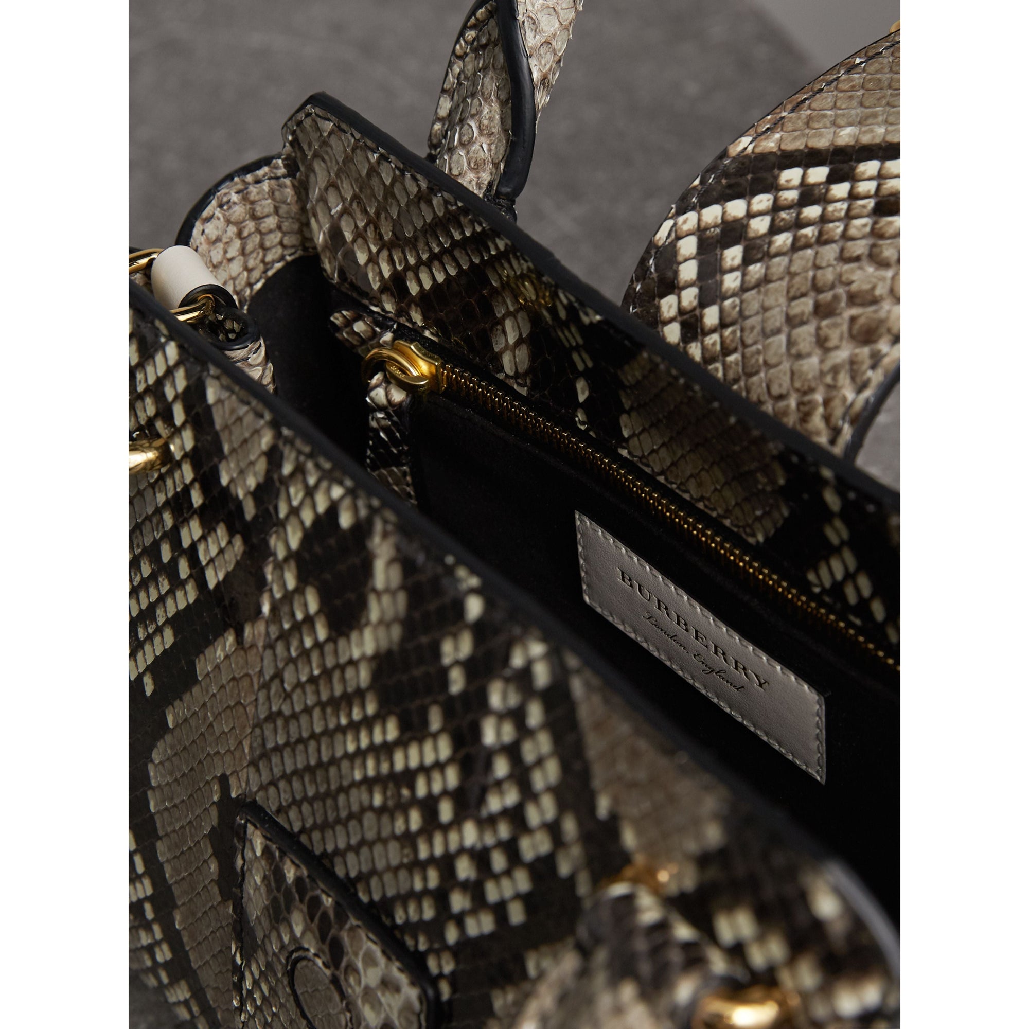 NATURAL Petit sac tote The Buckle en python