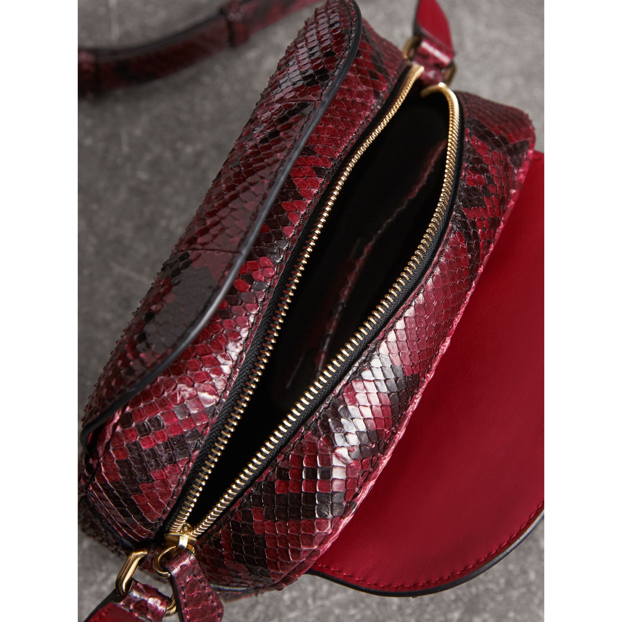 Petit sac à bandoulière The Buckle en python - Rouge Bourgogne