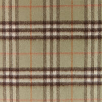 PALE POWDER GREEN Écharpe classique en cachemire Vintage check