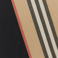 Écharpe réversible en cachemire à rayures iconiques - Beige d'archive