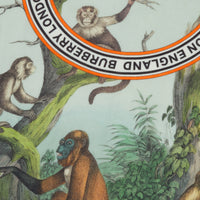 Écharpe légère en cachemire à imprimé singe - Vert opale