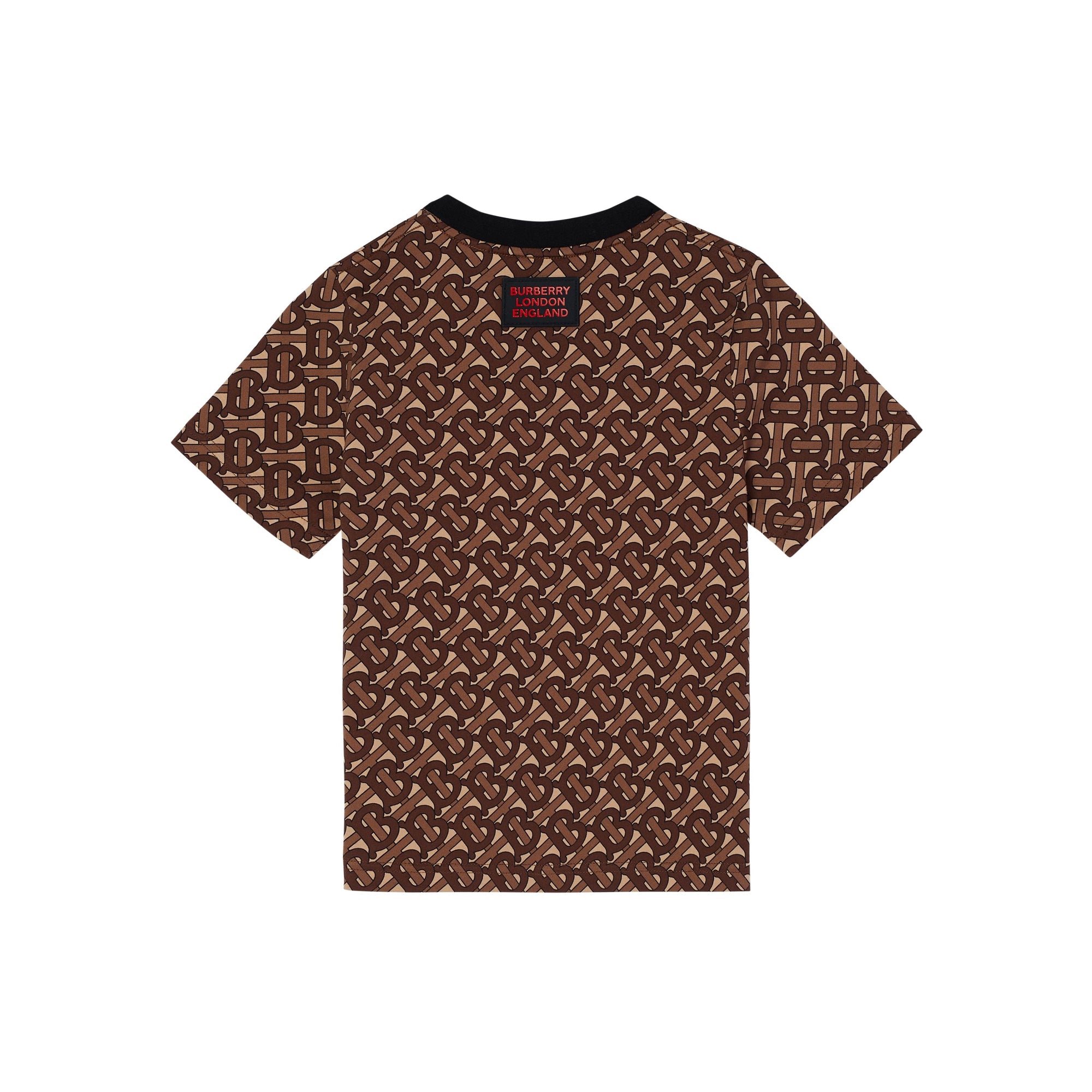 BRIDLE BROWN IP PTTN T-shirt en coton rayé Monogram