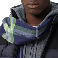 BRIGHT INDIGO/GREEN Écharpe classique en cachemire check
