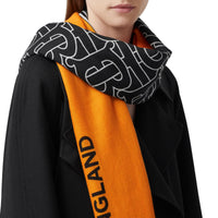 CITRUS YELLOW Écharpe légère en cachemire rayée Monogram