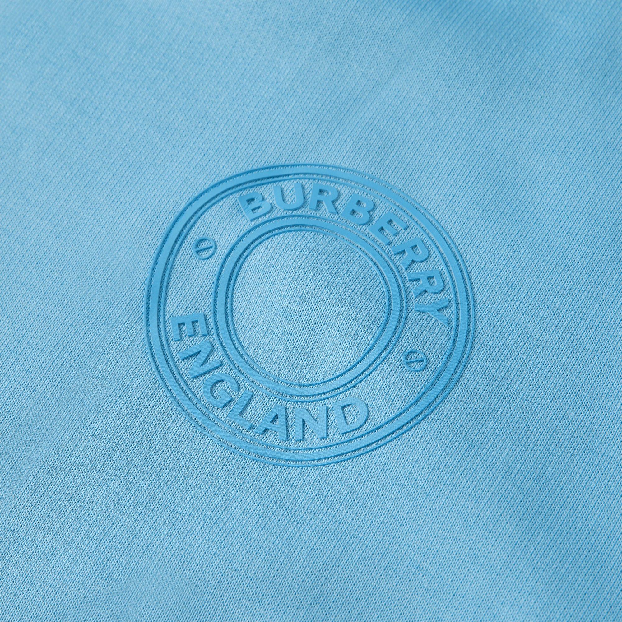 BLUE TOPAZ Hoodie oversize en coton avec logo